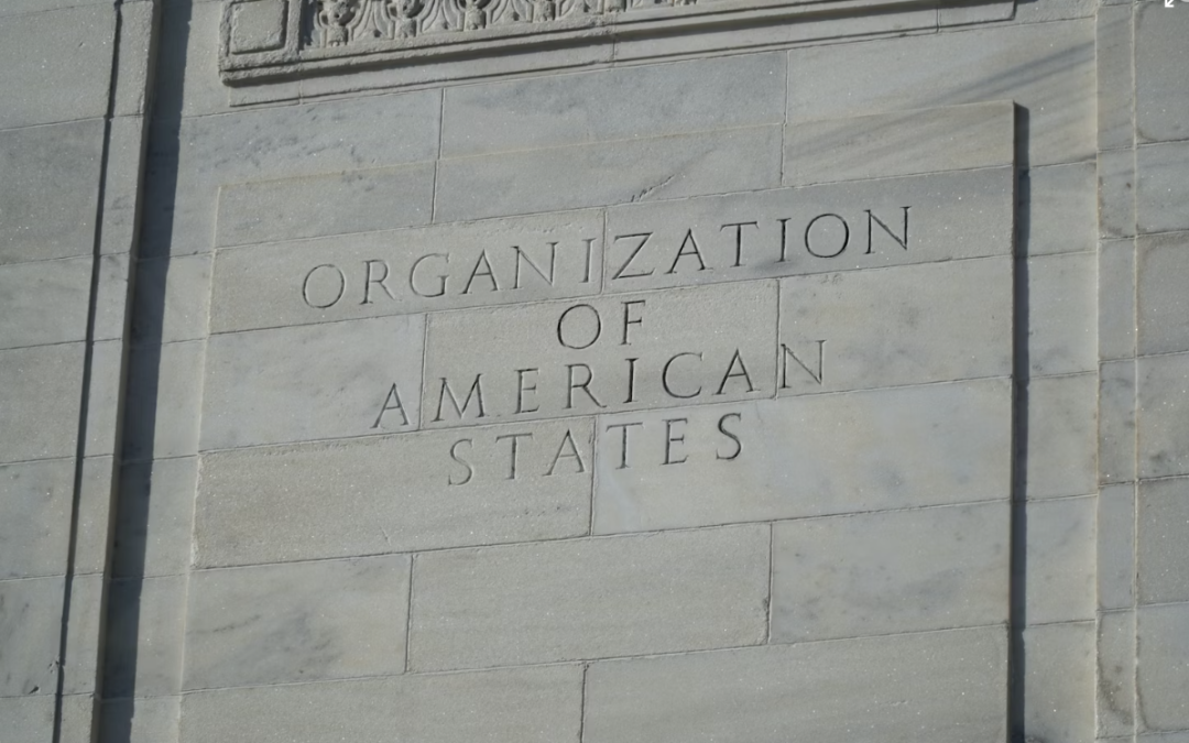 OAS Takes Historic Stand Against Reproductive Exploitation – A Victory for Human Dignity