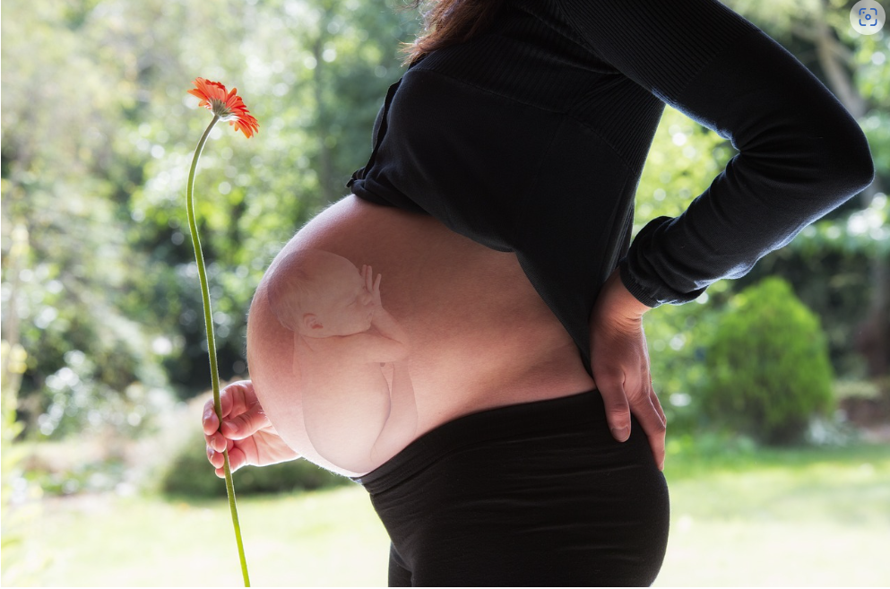 Big Abortion: The Industry The Left Pretends Does Not Exist