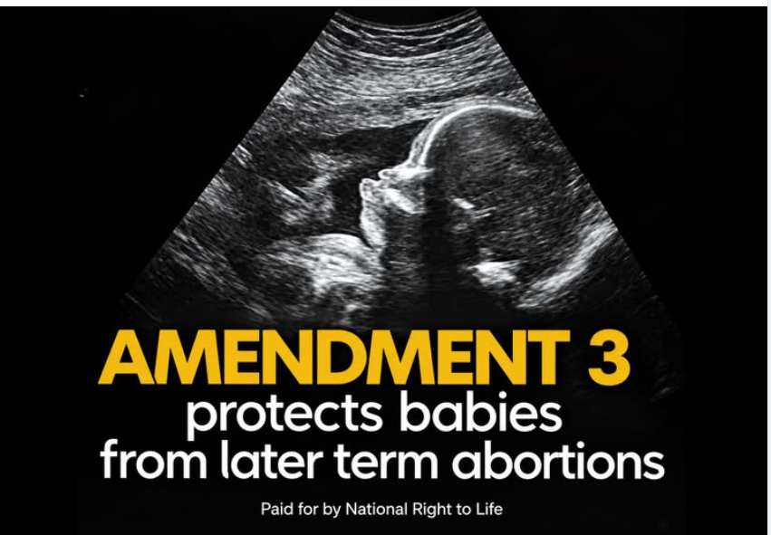 Public Alert! Missouri’s Amendment 3 will protect babies from late-term abortion.